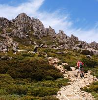 Heading to the summit of Cradle Mountain |  <i>Gesine Cheung</i>